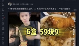 梅菜扣肉小杨哥事件爆料视频,揭秘网络爆料的真相与争议